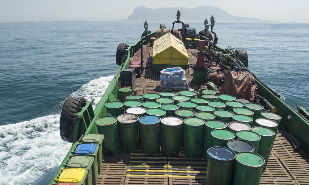 barco Avelina