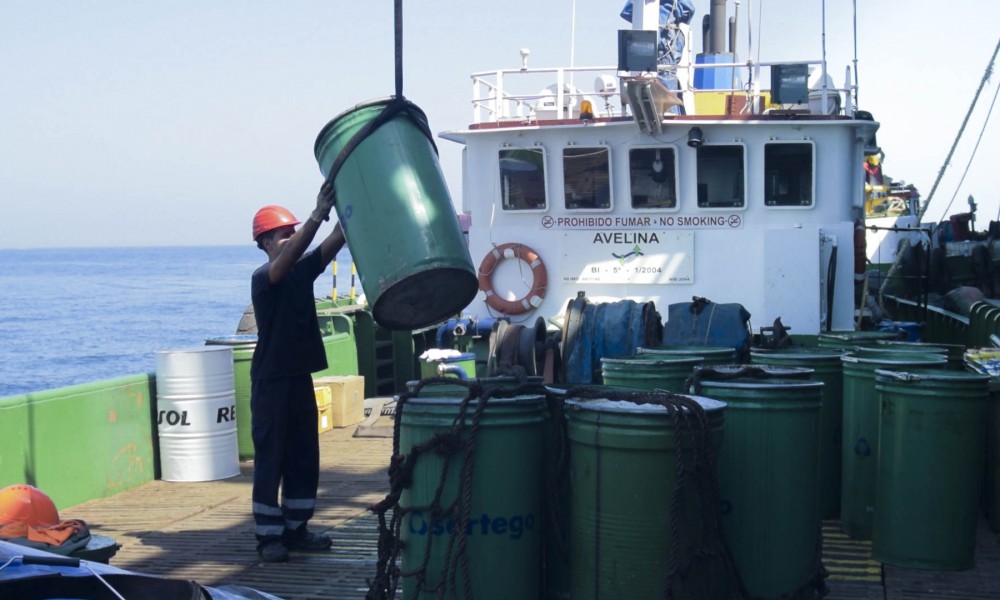 barco Avelina